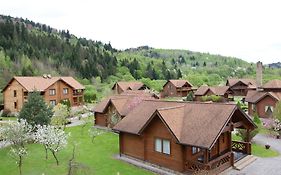 Taor Karpaty & Spa 4*